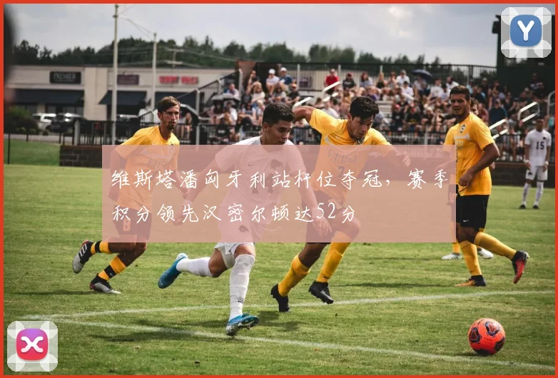 维斯塔潘匈牙利站杆位夺冠，赛季积分领先汉密尔顿达52分